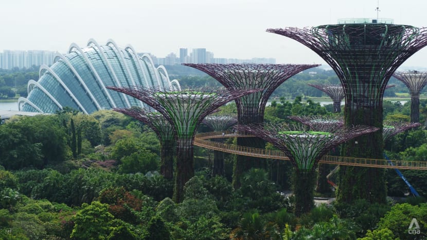 Gardens by the Bay celebrates 10 years, explores plans to build bridge  connecting Bay South and Bay East - CNA
