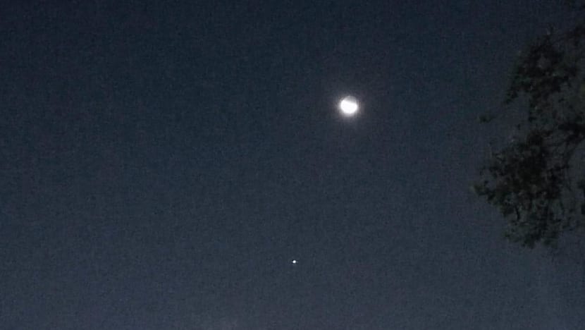 In pictures: Venus at the tip of a glowing crescent moon over Singapore -  CNA