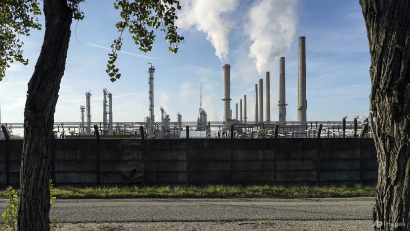 Net zero: Just patching over emissions or path for saving planet? Net zero: Just patching over emissions or path for saving planet?