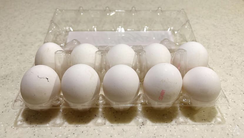 Singapore recalls eggs imported from Ukrainian farm due to presence of salmonella bacteria Singapore recalls eggs imported from Ukrainian farm due to presence of salmonella bacteria