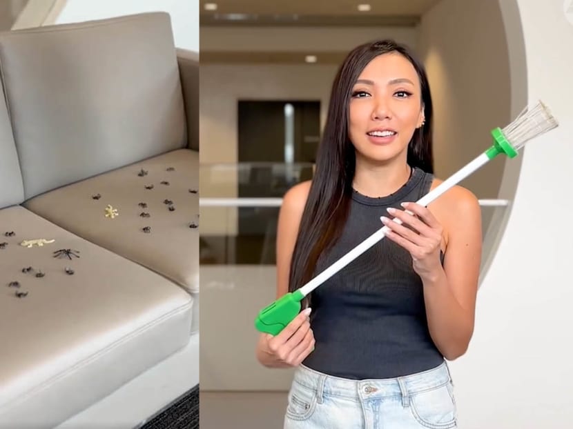'Freaks me out, but it’s working!': Jean Danker tries bug catcher for