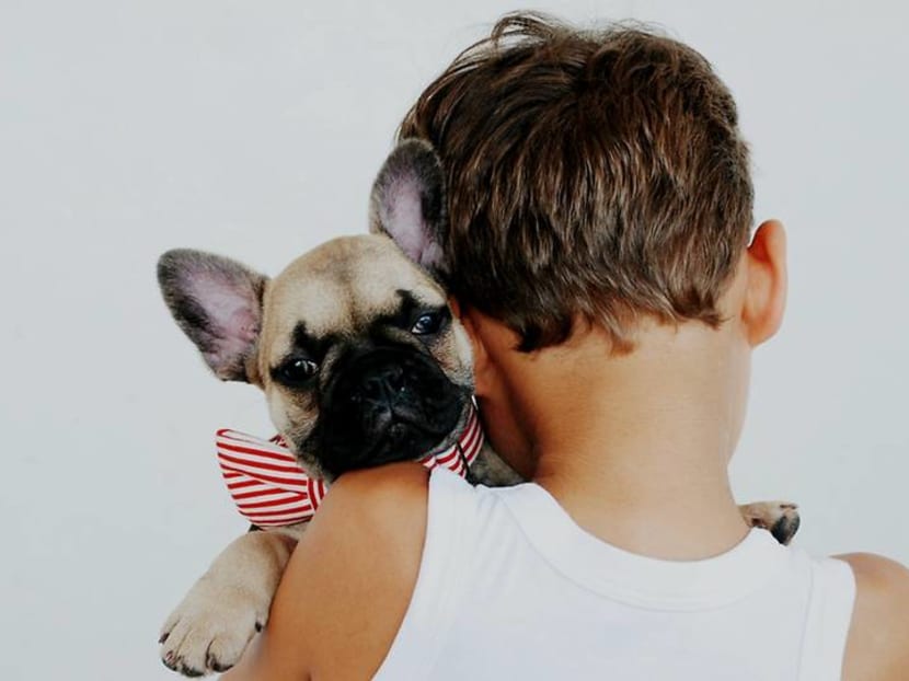 Pet dogs match movements with child owners as sign of emotional bonding Pet dogs match movements with child owners as sign of emotional bonding