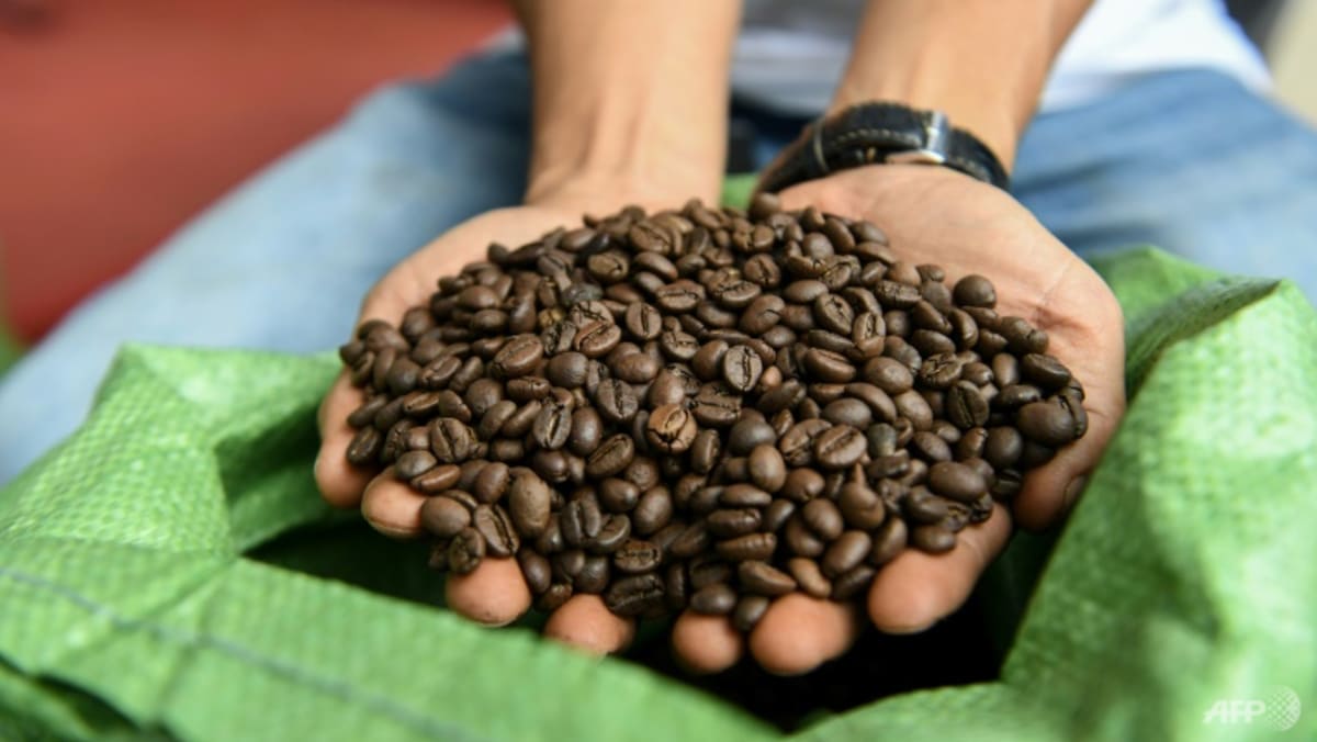 Vietnam’s robusta: The go-to coffee bean in a warmer world?
