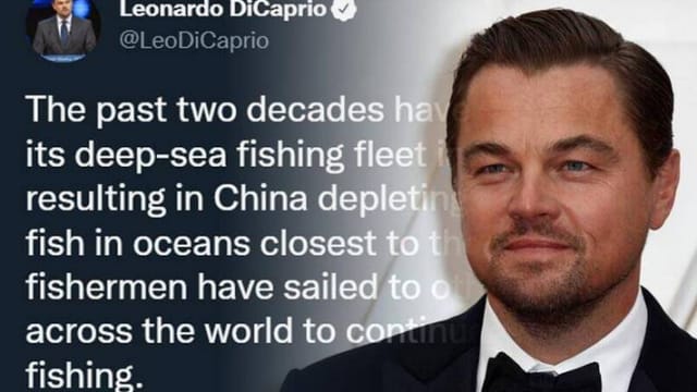 Leonardo DiCaprio也“辱华”！批中国渔民滥捕鱼类惹怒网民