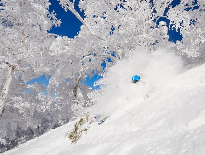 Download Saeokgawxa99cm