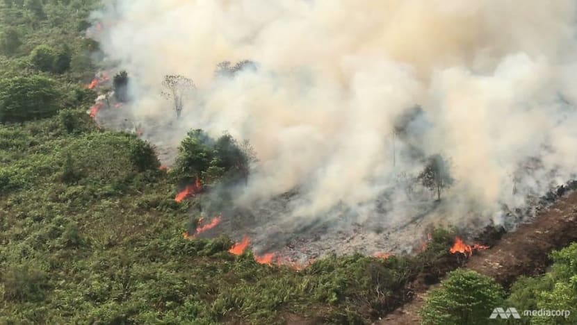 Commentary: Little smoke this haze season – but fires rage on in Indonesia Commentary: Little smoke this haze season – but fires rage on in Indonesia