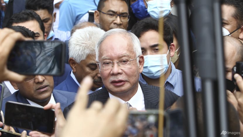 Jailed former PM Najib among UMNO nominees for Pekan seat contest in upcoming election: Reports