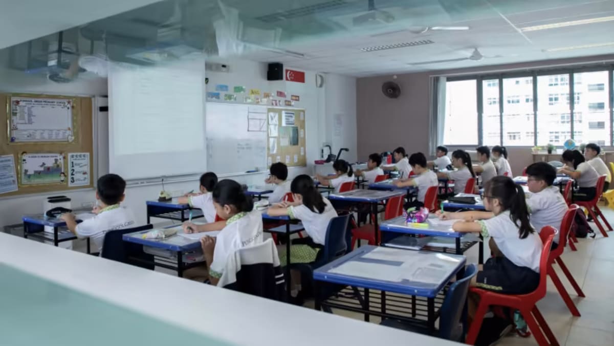 All primary school fees for Singaporean students can be covered by