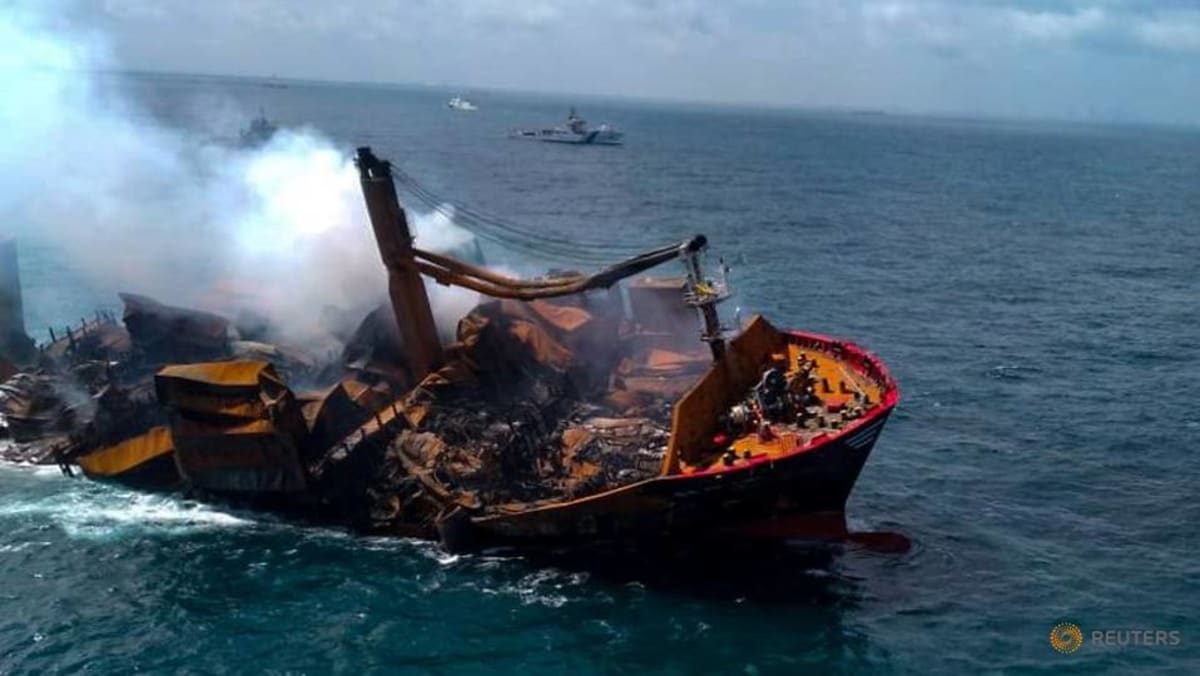 CEO operator kapal pesiar meminta maaf atas dampak kapal kontainer yang tenggelam di lepas pantai Sri Lanka