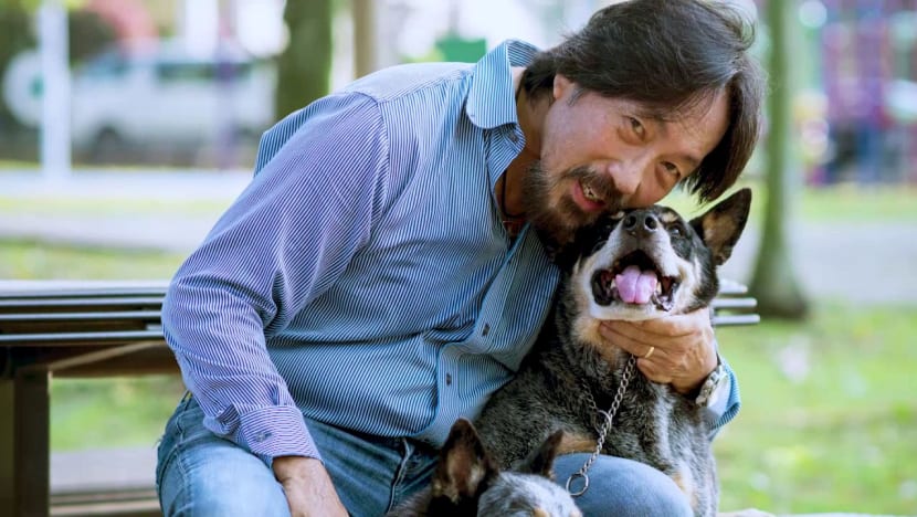 Would you clone your dog or cat? Some Singapore pet owners have taken the first step Would you clone your dog or cat? Some Singapore pet owners have taken the first step