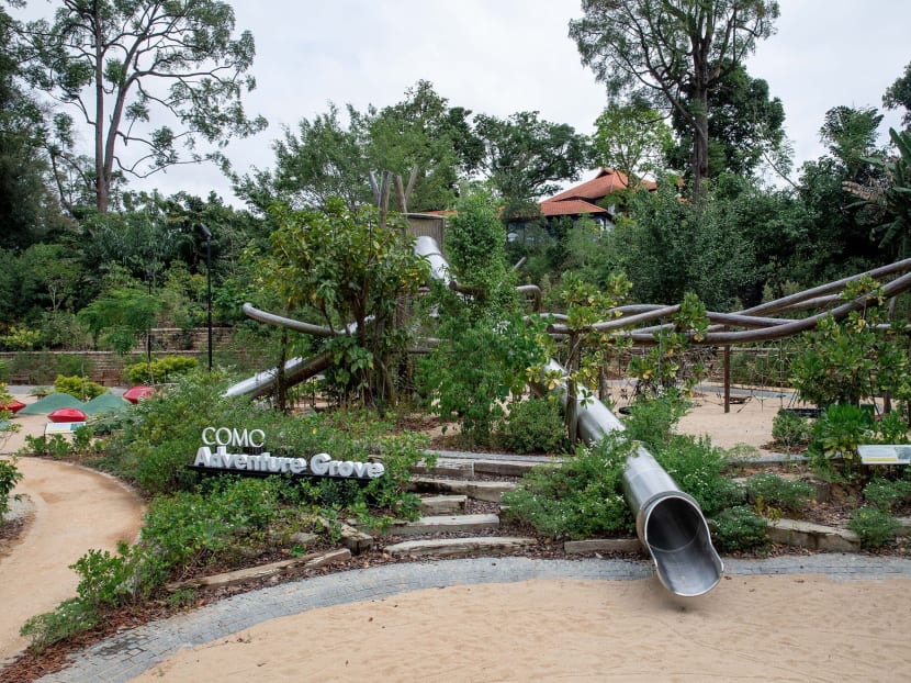Nature-inspired playground, Botanical Art Gallery among latest additions to open at Singapore Botanic Gardens