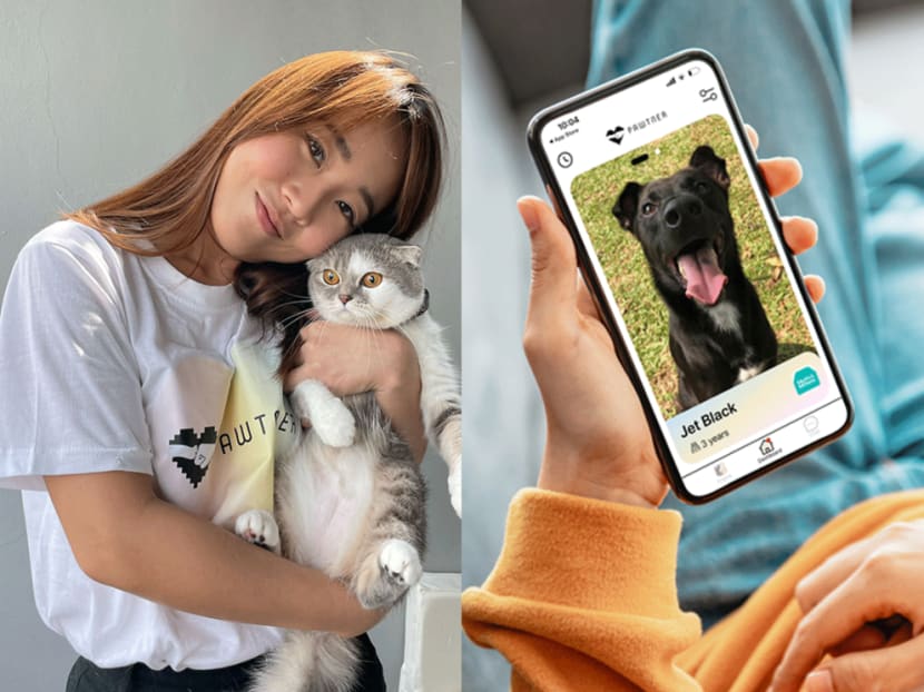 How to adopt a pet with online app Pawtner - CNA Lifestyle