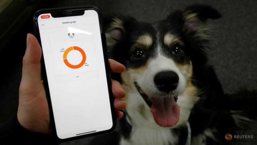 South Korean firm's smart dog collar tells owners what's in a bark South Korean firm's smart dog collar tells owners what's in a bark