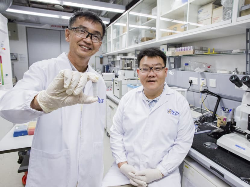 Researchers Koh-Siang Tan (left) and Swee-Cheng Lim at the National University of Singapore. Scientists have discovered new type of sponge, plenaster craigi , living on rock nodules targeted for deep-sea mining. photo: National University of Singapore via The New York Times