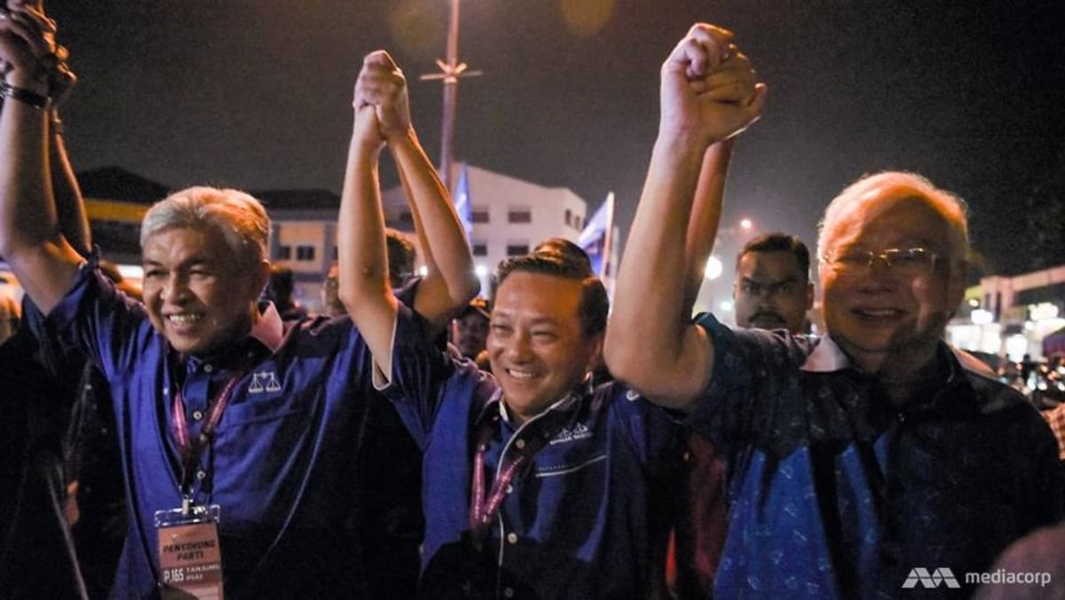 Barisan Nasional S Wee Jeck Seng Clinches Landslide Victory In Tanjung Piai By Election Cna