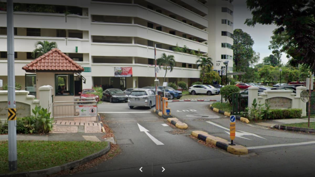 Condo resident fined for verbally abusing security guard over parking