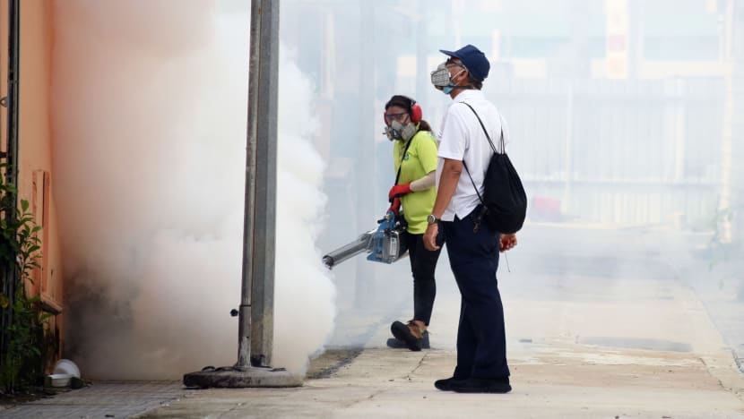 NEA calls for 'urgent action' as dengue cases surpass 6,000 in under 4 months, more than in whole of 2021