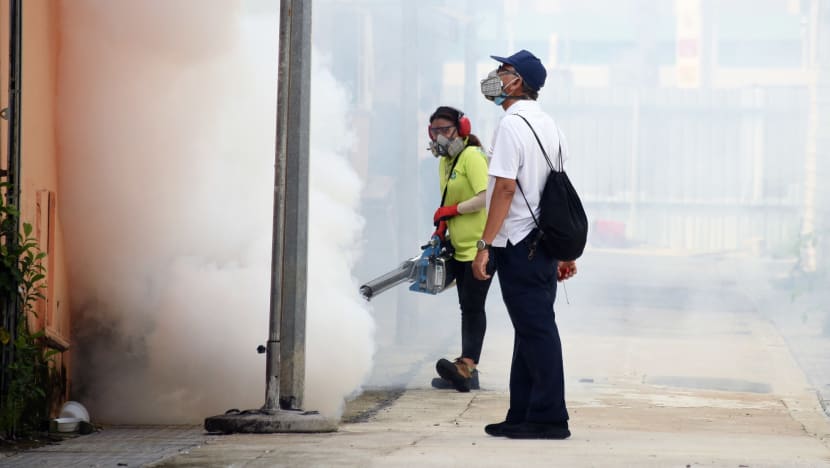 NEA calls for 'urgent action' as dengue cases surpass 6,000 in under 4 months, more than in whole of 2021 NEA calls for 'urgent action' as dengue cases surpass 6,000 in under 4 months, more than in whole of 2021