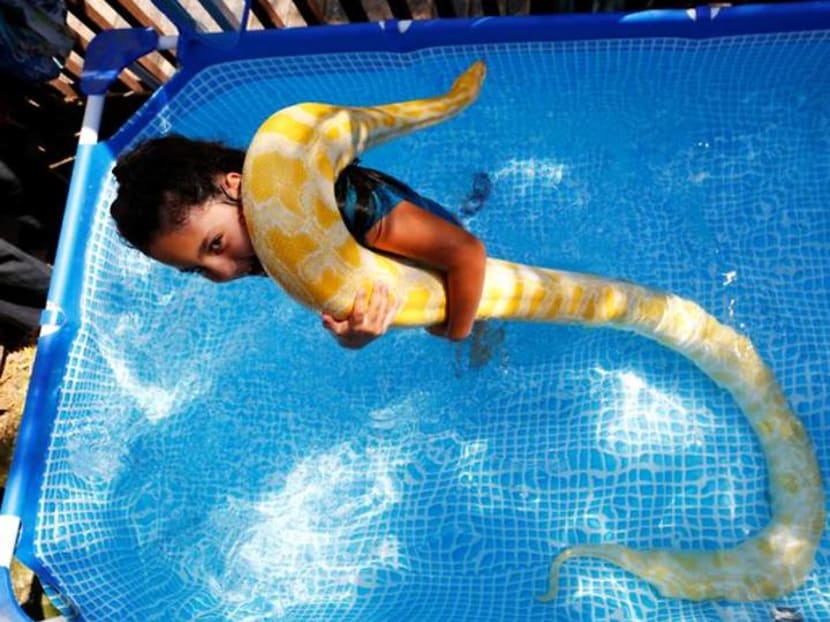 Israeli girl makes a splash with her pet snake Israeli girl makes a splash with her pet snake