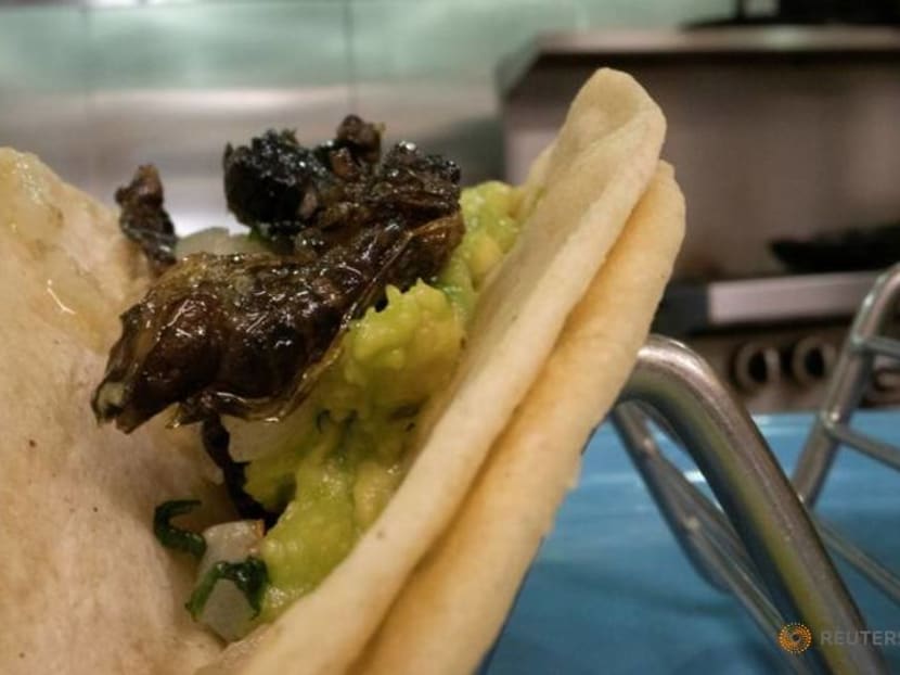 Guess who's coming to dinner? Virginia chef serves up tasty cicada tacos Guess who's coming to dinner? Virginia chef serves up tasty cicada tacos