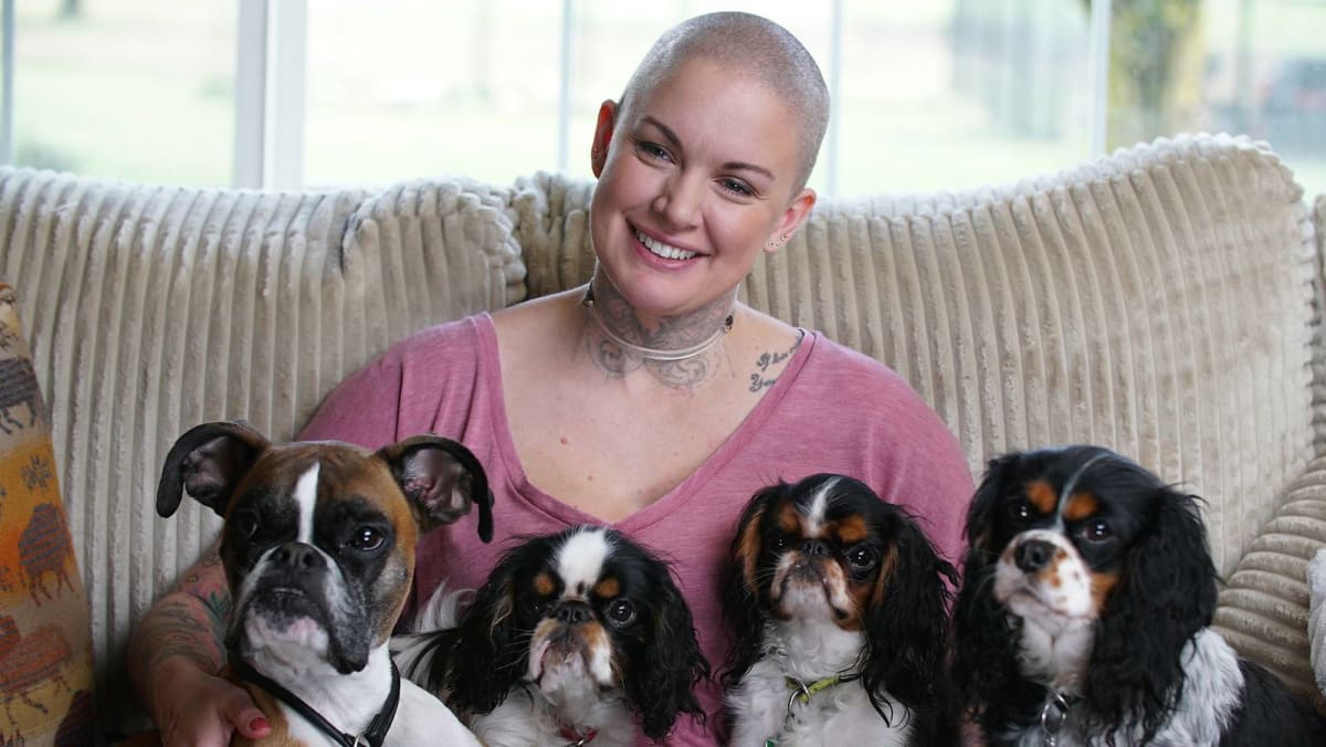 Animal planet adopt a pet sale