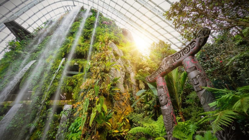 New Zealand PM Jacinda Ardern unveils Maori carving at Gardens by the Bay's Cloud Forest