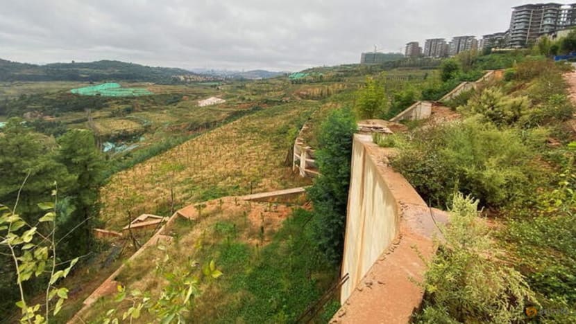 One-third of China's land protected under ecological 'red line' scheme One-third of China's land protected under ecological 'red line' scheme