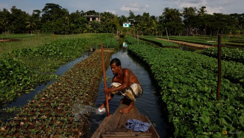 As seas rise, Bangladesh farmers revive floating farms