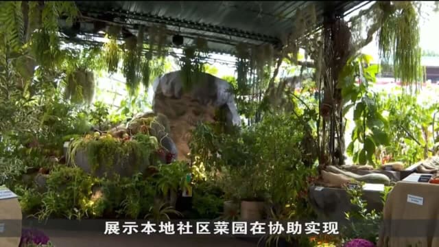 新加坡花园节明天登场 爱雍乌节义安城化身神奇花园