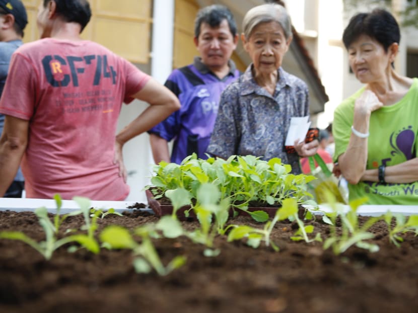 Budding and veteran gardeners living in the South West district of Singapore will get more funding to encourage their passion, from a new initiative launched on Sunday (Dec 30).