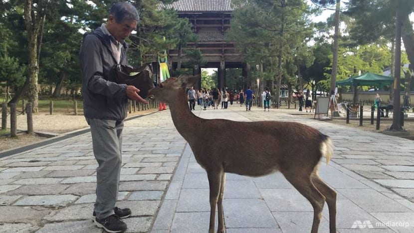 Nine deer dead in Japan's Nara Park after eating plastic: Wildlife group Nine deer dead in Japan's Nara Park after eating plastic: Wildlife group