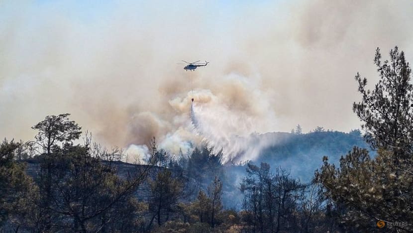 Wildfire in southwest Turkey rages; arson suspect detained Wildfire in southwest Turkey rages; arson suspect detained
