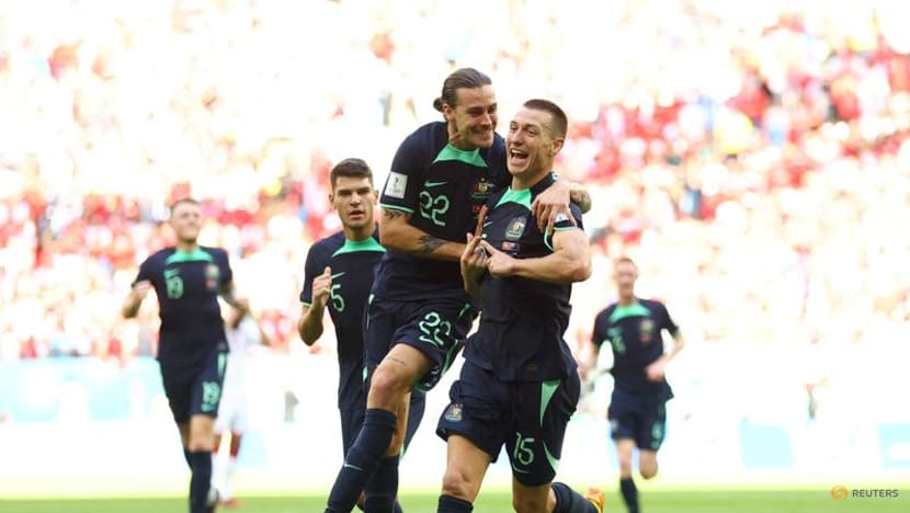 Aussie grit blunts Tunisia's attack in vital win Aussie grit blunts Tunisia's attack in vital win