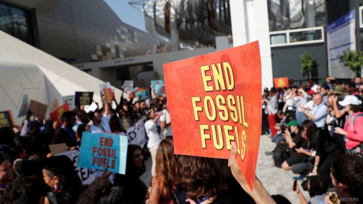 COP28 deal may not please every party but a big leap for global collective action, says Singapore minister - Vimarsana News