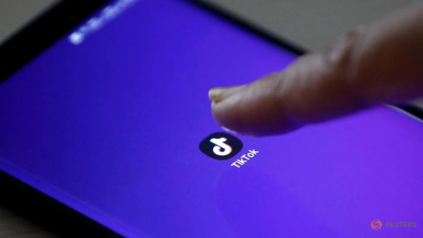 Italy watchdog says TikTok to check birth details of users, remove all under-13 accounts Italy watchdog says TikTok to check birth details of users, remove all under-13 accounts