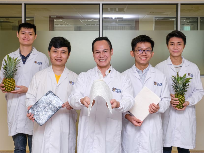 NUS researchers use pineapple leaves to preserve fruits, remove toxic metals from wastewater NUS researchers use pineapple leaves to preserve fruits, remove toxic metals from wastewater