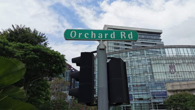 【958印象古早】（九）从前的果园今日的购物街Orchard Road 曾经种植哪些果树 ？ Mount Sophia 的Sophia 是莱佛士妻子？