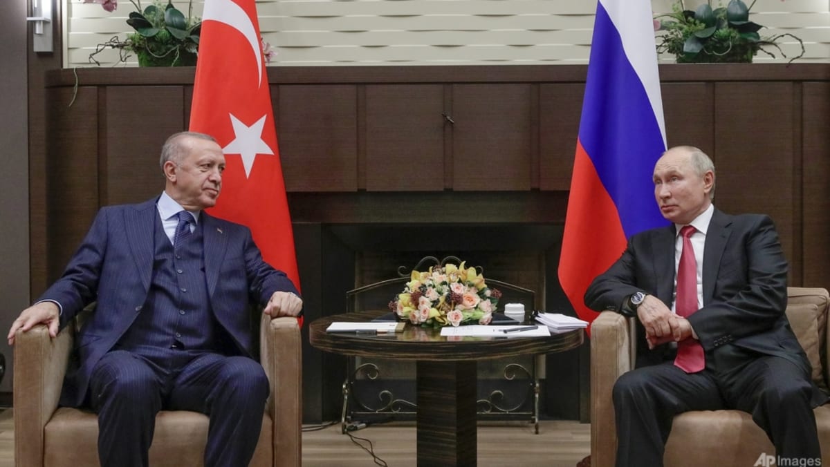 Putin pergi ke Teheran untuk berbicara dengan para pemimpin Iran dan Turki