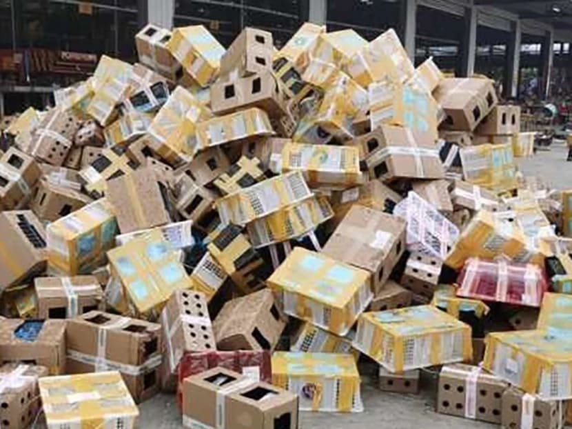 The animals had been transported in boxes and dumped at the Dongxing logistics hub in Luohe, Henan.