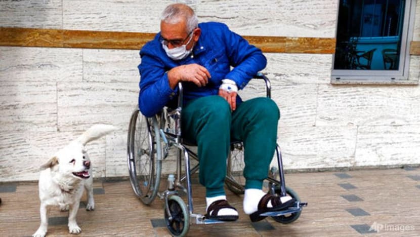 Dog spent days outside Turkish hospital waiting for owner Dog spent days outside Turkish hospital waiting for owner