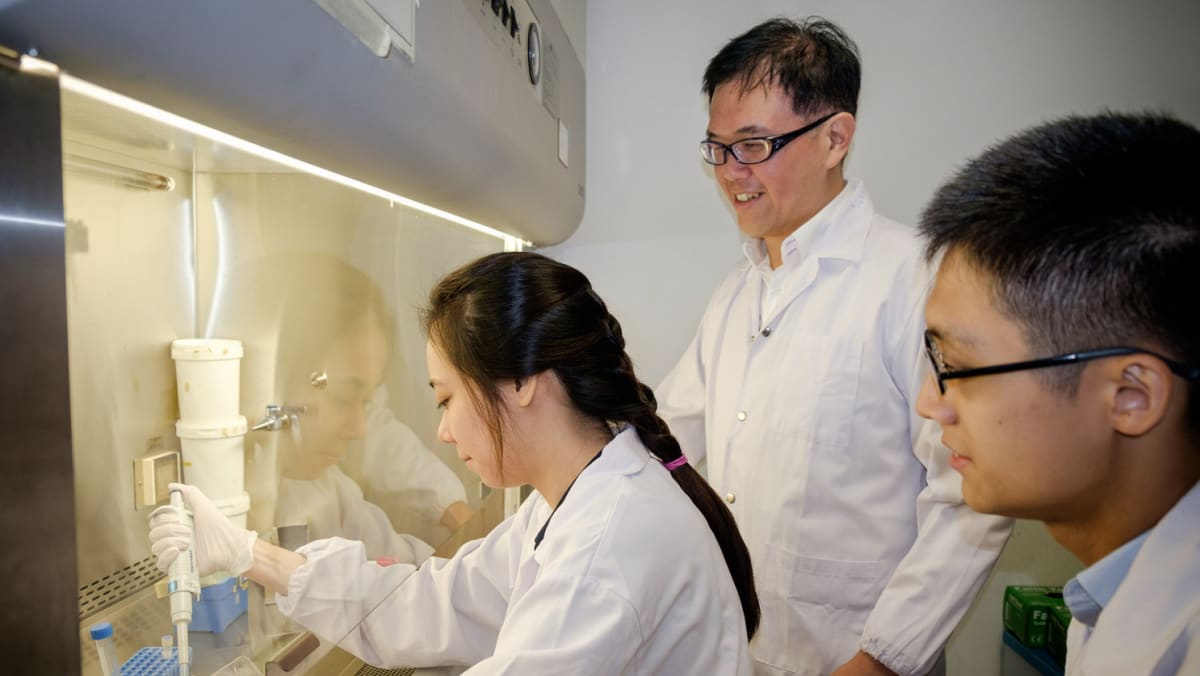 Diet high in saturated fats linked to gut inflammation Study TODAY