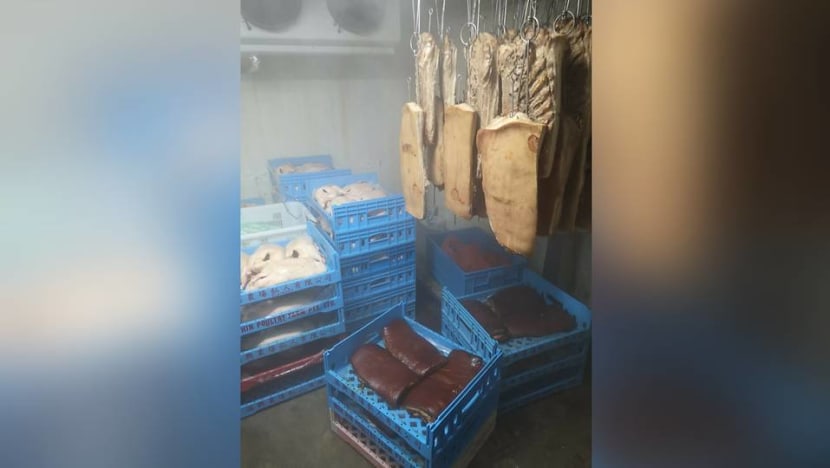 Meat processing company fined for 'multiple lapses' including widespread cockroach infestation Meat processing company fined for 'multiple lapses' including widespread cockroach infestation