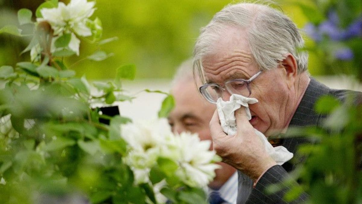 Demam 5 Makanan Ini Boleh Bantu Anda Sihat Dengan Cepat Berita Mediacorp