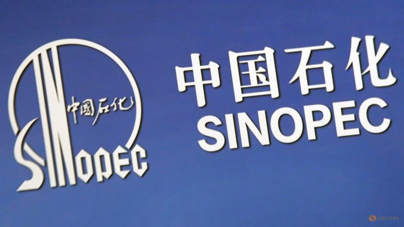 Sinopec signs China's largest long-term LNG contract with US firm Sinopec signs China's largest long-term LNG contract with US firm