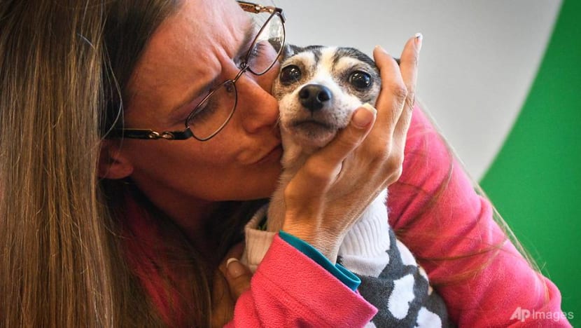 US woman reunited with missing dog after 12 years US woman reunited with missing dog after 12 years
