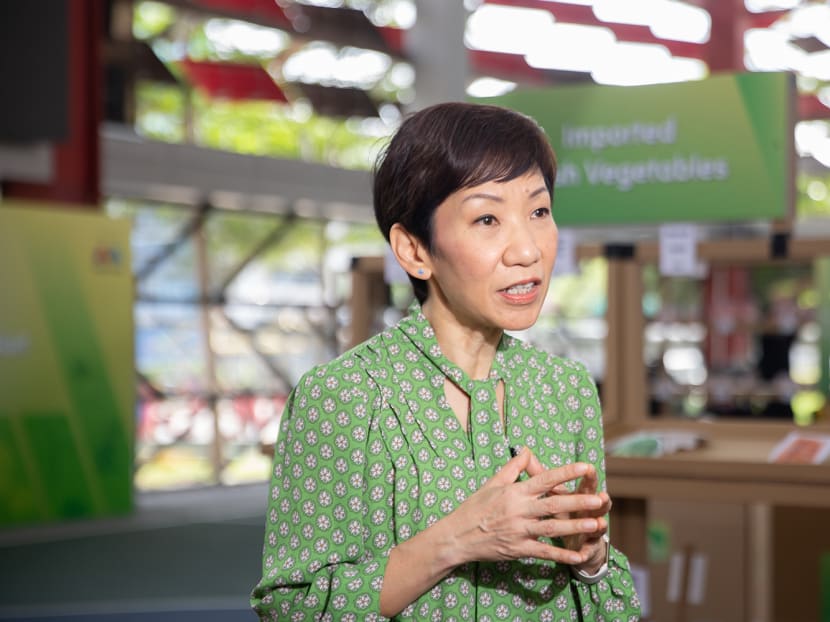 Minister for Sustainability and the Environment Grace Fu speaking to reporters on the sidelines of a CNA Green Plan event held at Tampines West Community Club on Feb 20, 2022.