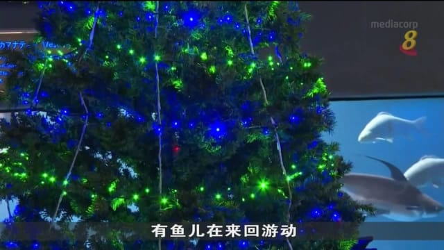 日本水族馆运用电鳗给馆内圣诞树供电 有趣又环保