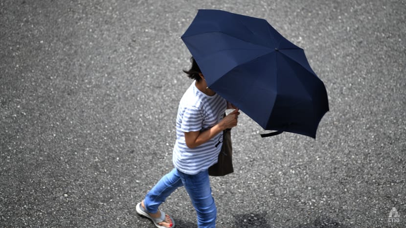 Warm weather and thundery showers expected for first half of April: Met Service