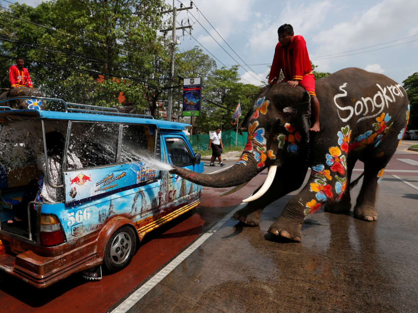 An elephant sprays tourists with water in celebration of the Songkran Water Festival in Ayutthaya province, north of Bangkok, Thailand. Photo: Reuters