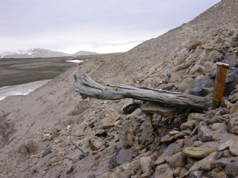 Oldest Dna On Record 2 Million Years Reveals Greenland S Lost World Today